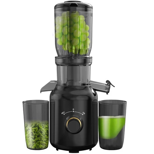 Demine Cold Press Juicer, Powerful Slow Masticating Juicer Machines Fit Whole Fruits & Vegetables BPA Free Easy Clean Self Feeding Effortless for Batch Juicing, High Juice Yield - 250W