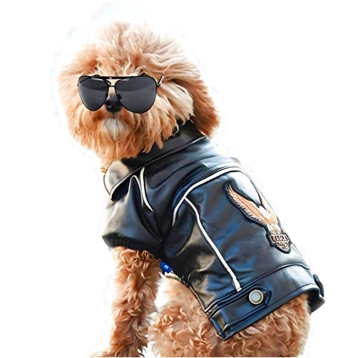 NIULA Dog Leather Jacket - Cute Leather Dog Jackets Motorcycle Clothes with Buttons Pet Waterproof Winter Coat for Small Medium Dogs