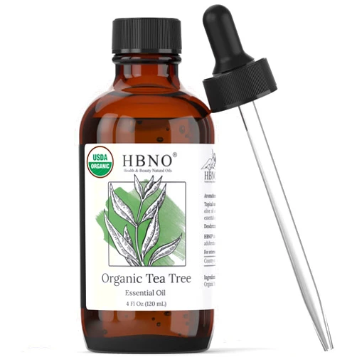 HBNO® California Bottled Organic Tea Tree Oil for Skin 4 fl oz (120ml) - USDA Certified Organic Tea Tree Oil for Hair - Tea Tree Essential Oil for Aromatherapy, Tea Tree Oil for Face