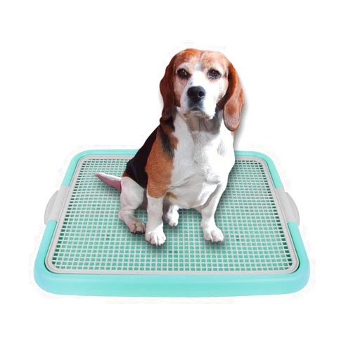 Firstco Mesh Training Toilet Potty Tray for Puppy and Small Size Dog 20.3 x 16.3 x 1.2 inch (Mint+Gray)