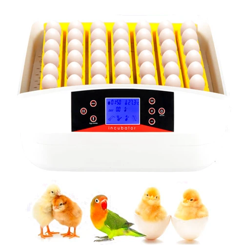 Imseigo 56 Egg Incubator with Humidity Display, Egg Candler, Automatic Egg Turner with Temperature Control, Poultry Hatcher Machine with LED Screen for Hatching Chicken (56-Egg)