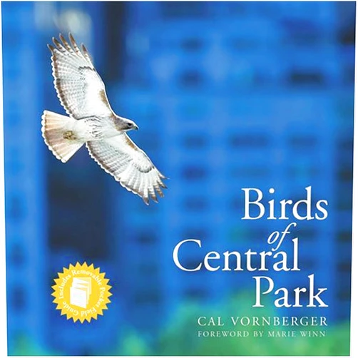 By Cal Vornberger (Author), Marie Winn (Author) Birds of Central Park