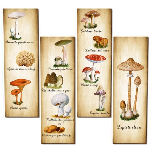 Yookeer 4 Pack Mushroom Wall Decor Vintage Mushroom Wall Art Sign Rustic Wooden Mushroom Kitchen Decor Mushroom Poster Hanging Fungus Aesthetic Art for Bedroom Dining Room Living Room Office (15.7 x 5.2 Inch)