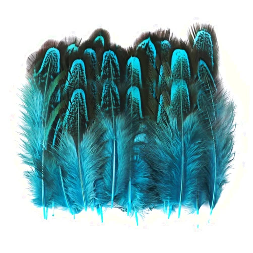 Wangruida 200 Pcs 2-3 Inches（5-7CM）Blue Pheasant Feathers for Crafts Sewing Clothing Decorating Accessories