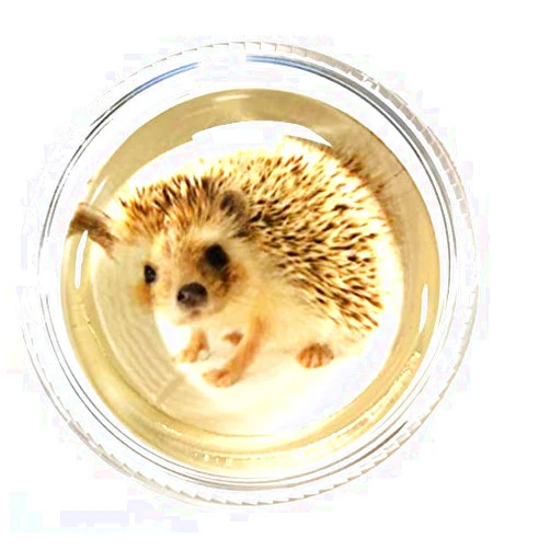 G-CAIH Magic Rosin Ultra - Harriett The Hedgehog