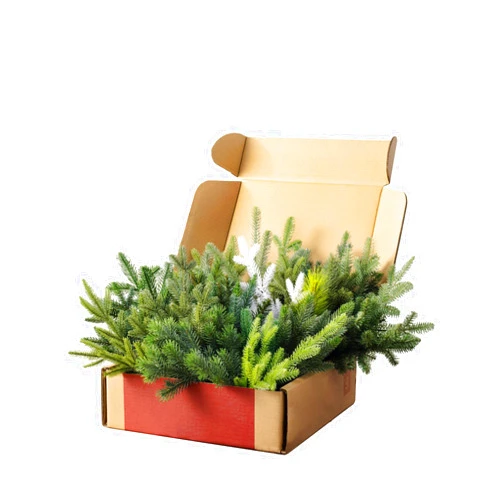 Balsam Hill Artificial Christmas Tree Branch Sample Kit - includes Full Branches of 19 Balsam Hill Artificial Christmas Trees