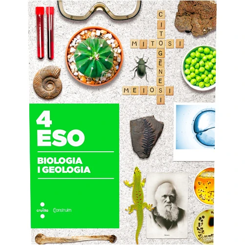 Spanish Edition by Roser Bosch Mestres (Author), Àngels Grado Pérez (Author), Xavier Muñoz Báguena (Author), Lluís Pagès Pons (Author), Sílvia Lope Pastor (Author), Marc Ferrer Roche (Author), Olga Ferran i Andreu (Author), Antonio Muñoz Tenllado (Illustrator), Meritxell Campos Canudas (Illustrator) & 6 more Biologia i geologia. 4 ESO. Construïm
