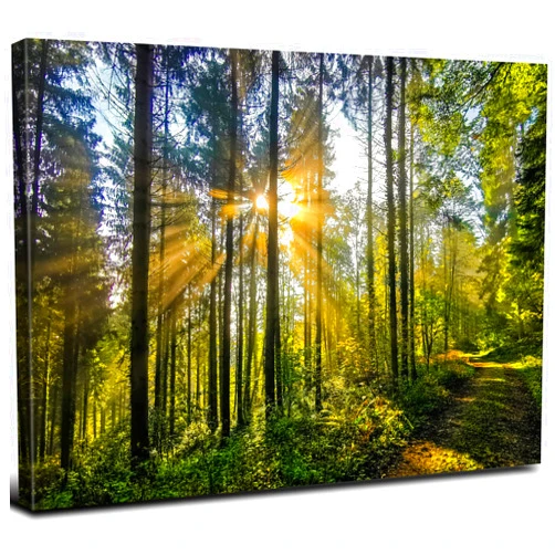 AREBOLO Sunrise Forest Wall Art for Living Room, Nature Wall Decor Fall Mountain Trees Scenery Photo Canvas Prints Pictures Tropical Landscape Painting Natural Framed Artwork Office Bedroom Decoration 12x16”
