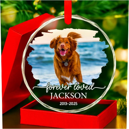 AlpadilAndCo Personalized Pet Memorial Crystal Ornament - Pet Loss Gifts, Dog Memorial, Custom Pet's Photo, Dogs Sympathy Gift, Pets Condolence Gift, Pet in Memory Keepsakes, Remembrance Gifts for Cat Dog Lover
