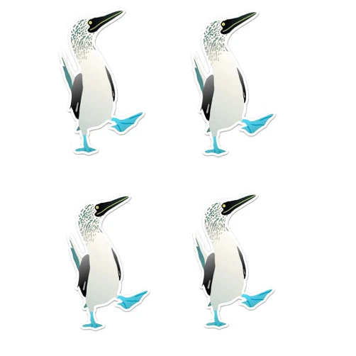 Altok Graphics Pack of 4-3 Inch Stickers - Blue Footed Booby Bird Galapagos - Vinyl Sticker - for Car Laptop Water Bottle Phone - Waterproof Decal - Sticker Graphic Decal