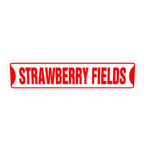 NoveltySignsOnline STRAWBERRY FIELDS Street Sign new sign music UK song | Indoor/Outdoor | 18