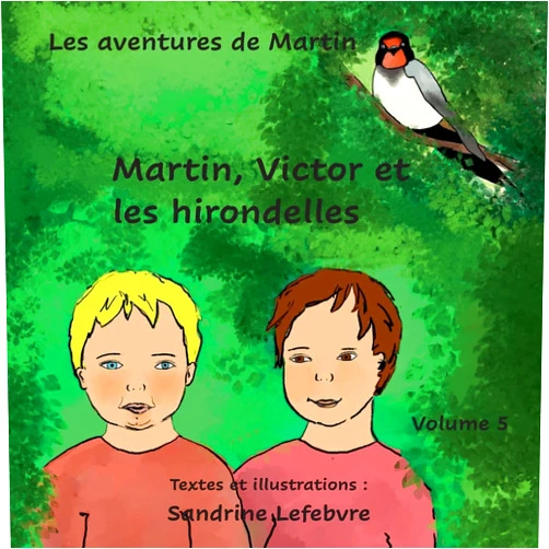 Sandrine Lefebvre,Claude Valasek Martin, Victor et les hirondelles (French Edition)