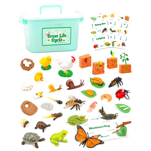 GLINGLONG Life Cycle Sets Figurine Toys, Kids Animal Match Set with Frog, Ladybug, and More, Stocking Stuffers Educational Fun Learning Game for Boys and Girls 3 4 5 6 7 8 and Up (Life Cycle 32 Piece)