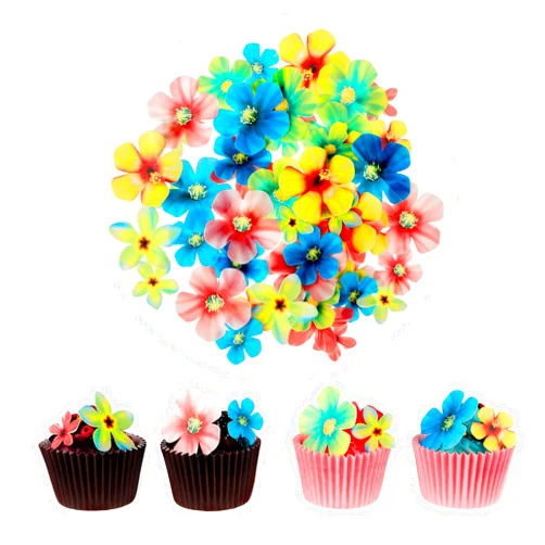 DIVINA VITAE 70 Pcs Edible Cake Flowers Edible Cupcake Toppers Wafer Paper Flower Cake Decorations Flowers CakeTopper for Cake Decorating Hawaiian Flowers Rice Paper Flower Decoration for Wedding Birthday Party