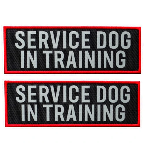 FITZNORA 2 Pcs Reflective Service Dog in Training Patch with Hook and Loop Backing, Embroidered Border with Printed Lettering Patch for Dog Vest Harness Working Dogs (6 x 2 inches)