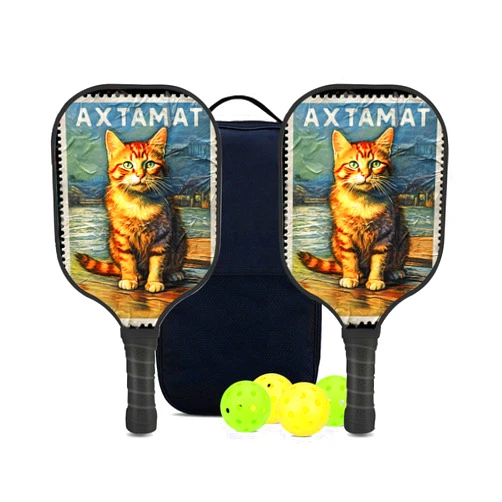 DeweiDirect Custom Pickleball Paddle Set - Includes 2 Paddles, 4 Balls, and 1 Bag, with Cat Stamp-BL1537 Pattern or DIY,Carbon Fiber Pickleball Paddle
