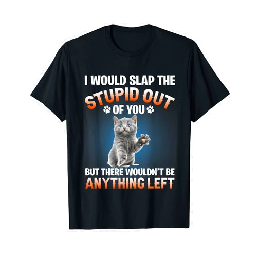 Cat Feline Cat Owner Feline Friend Pet Meow Gift I Would Slap The Stupid Out Of You But There Wouldn't Be Any T-Shirt