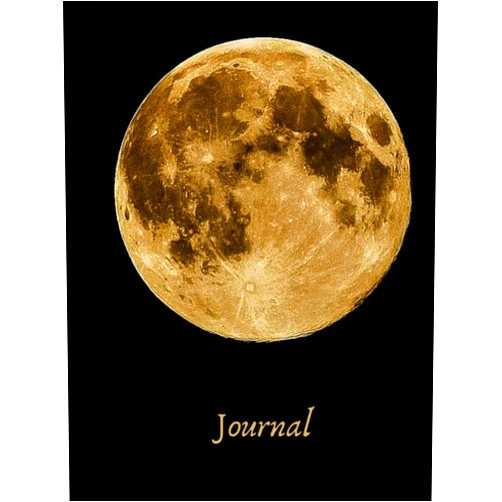 Carolyn Pollack Moon Journal