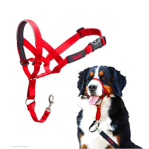 Company of Animals HALTI Headcollar - to Stop Your Dog Pulling on The Leash. Adjustable, Reflective and Lightweight, with Padded Nose Band. Dog Training Anti-Pull Collar for Large Dogs (Size 4, Red)