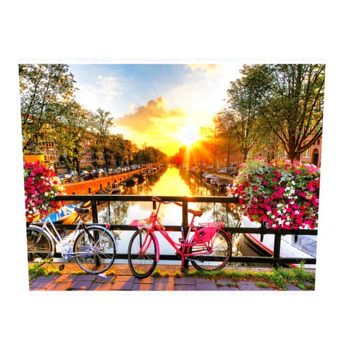 SiTimmGer Puzzles for Adults 1000 Piece Spring Flower Quiet River Sunrise Picturesque Amsterdam with Bicycles Challenging Great Gift for Family Fit Together Perfectly 19.6