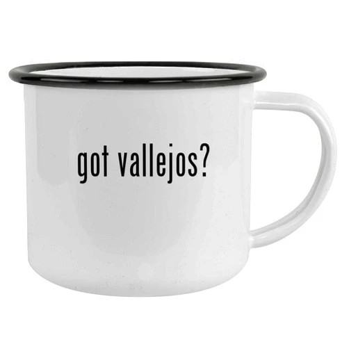 Molandra Products got vallejos? - 12oz Camping Mug Stainless Steel, Black