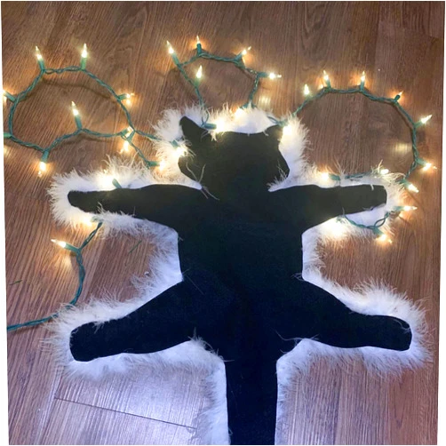 BENCIA 1PC Light Up Fried Cat Rug Aunt Bethany’s Fried Pussycat Rug from National Lampoon’s Funny Christmas Vacation Decoration Floor Carpet (Warm Light)