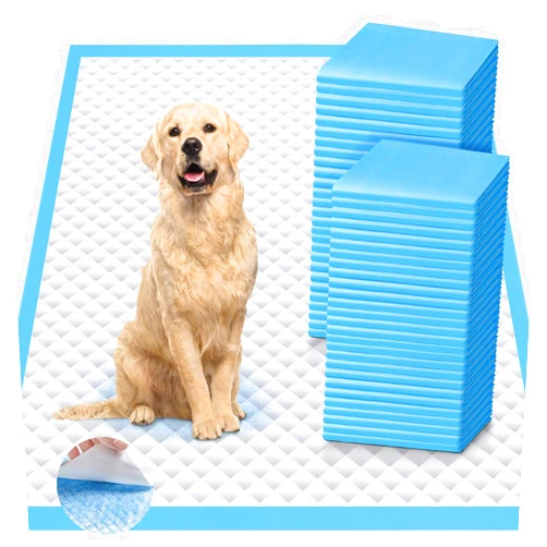 Iweepet Upgraded 4XL 36