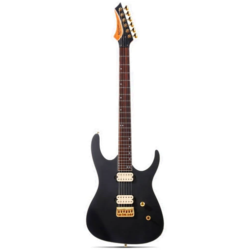 Leo Jaymz Electric Guitar Monsoon Series with Reverse Headstock - Mahogany Body,Roasted Maple Neck,Rosewood Fretboard,Locking Tuners,Rounded End Frets,AlnicoV Pickups,Fixed Hardtail Bridge(Matt Black)