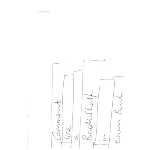 By Emilie Guenat (Editor), Florence Jung (Editor), Sadie Plant (Artist), Anne König (Contributor) & 1 more Sadie Plant: Comment Lire a Bookshelf in Einem Buch