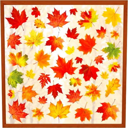 Augisteen 9 Sheets Fall Maple Leaves Window Clings Fall Leaves Double-Sided Window Decals Autumn Maple Leaf Windows Stickers for Autumn Thanksgiving Harvest Home Glass Living Room Bedroom Decoration