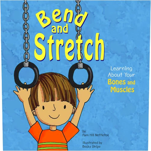 Pamela Hill Nettleton,Becky Shipe Bend and Stretch: Learning About Your Bones and Muscles (The Amazing Body)