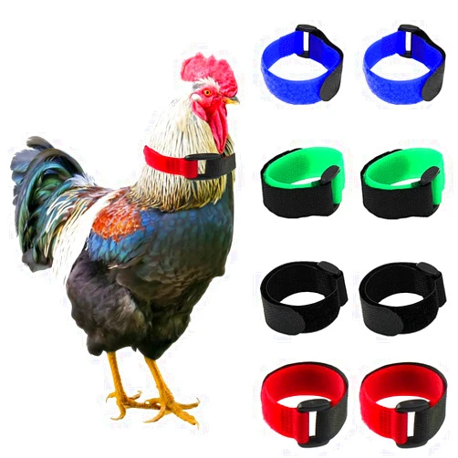 Tkocisa 8 Pack No Crow Rooster Collars, Chicken Collar Anti-Hook Noise Free Neckband No Crow Noise Neck Belt for Roosters - Prevent Chickens from Screaming, Disturbing Neighbors