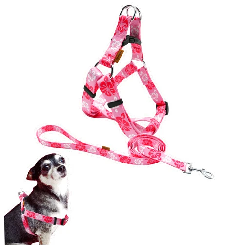 Aiminto Dog Halter Harness and Leash Set, Cute Floral Patterns, Soft and Adjustable Harness, Step in, Anti-Choke — Perfect for Walking (Harness Leash Set (Pink), XS (Chest 11-18