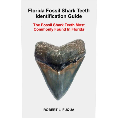 By Robert Lawrence Fuqua (Author) Florida Fossil Shark Teeth Identification Guide: The Fossil Shark Teeth Most Commonly Found In Florida