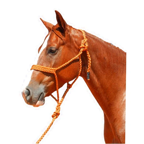Cashel Flat Braid Halter and Leadrope