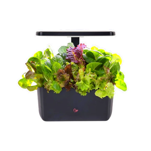 AeroGarden Harvest 2.0, Indoor Garden Hydroponic System with LED Grow Light, Holds up to 6 AeroGarden Pods, Black