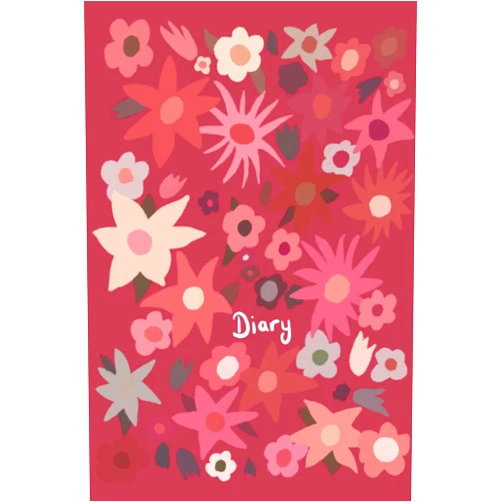 Aine Brady Donna's Diary: 200 pages