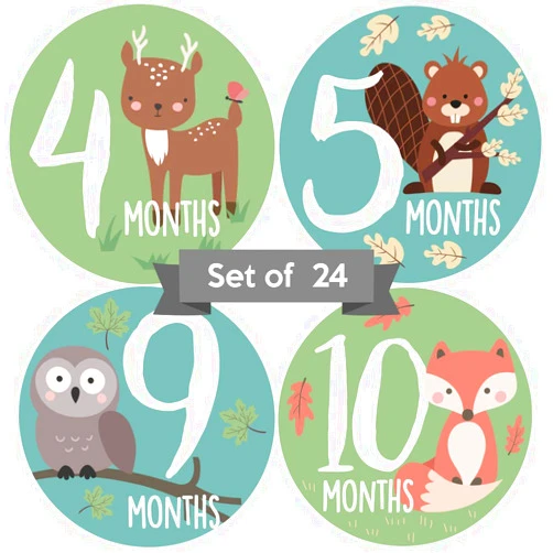 Little Moments Baby Monthly Stickers | Woodland Creatures Baby Milestone Stickers | Newborn Boy or Girl Animal Stickers | Month Stickers for Baby Boy | Gender Neutral | Unisex Monthly Milestone Stickers (Set of 24)