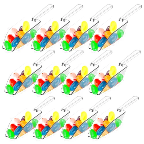 DUOQIAN 12 Pcs Mini Clear Acrylic Plastic Kitchen Scoops, 5.5