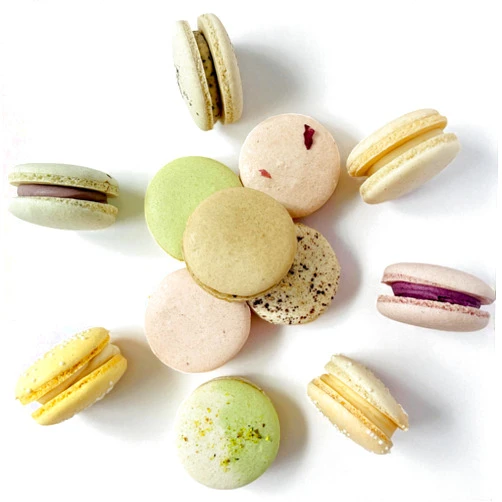 Macaron Centrale 12 Naturally Vegan Surprise Me Assortment Macaron Set