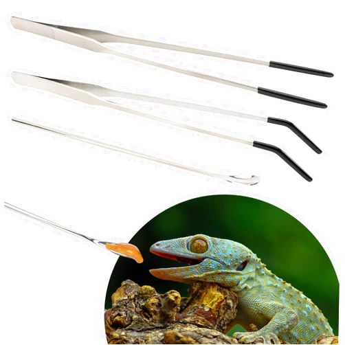 Belle&Beau 3 Pcs Stainless Steel Reptile Feeding Tool Set with 2 Rubber Tipped Tongs and 1 Crested Gecko Feeding Spoon, Crested Gecko Tank Accessories for Geckos, Lizards, Bearded Dragons, and Small Animals