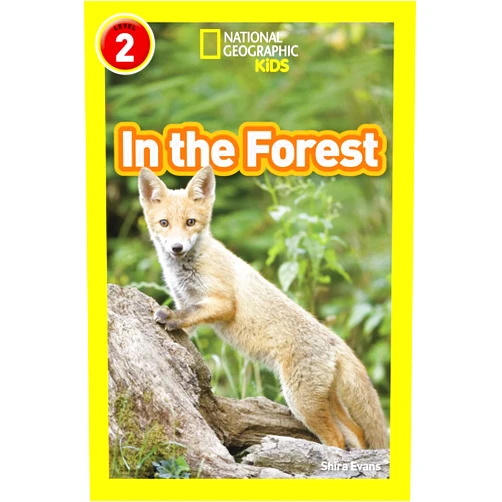 By Shira Evans (Author) In the Forest