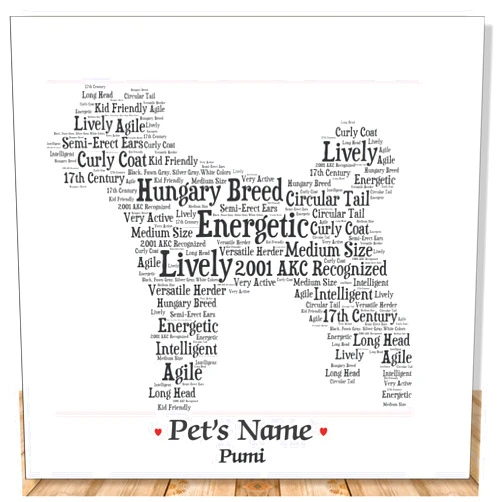PetArt.us Pumi Personalize Dog Wall Art Print | Home Decor Gift Wrapped | Custom Name | Pet Loss Memorial Present for Owners | USA Handmade