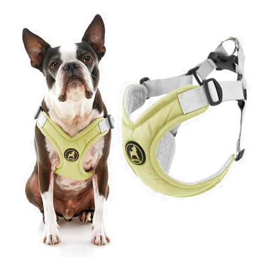 Gooby Memory Foam Step in Harness - Green, Medium - No Pull Small Dog Harness Patented Choke-Free X Frame - Perfect on The Go Dog Harness for Medium Dogs No Pull or Small Dogs