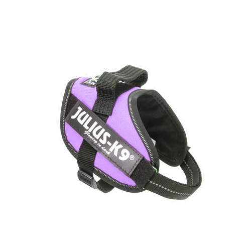 By Julius-K9 IDC Powerharness, Size: S/Mini, Purple