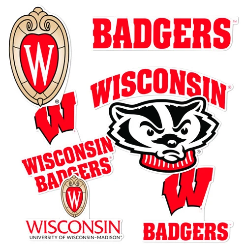 Desert Cactus University of Wisconsin Sticker Badgers UW Madison Vinyl Decals Laptop Water Bottle Car Scrapbook T2 (Type 2-3)