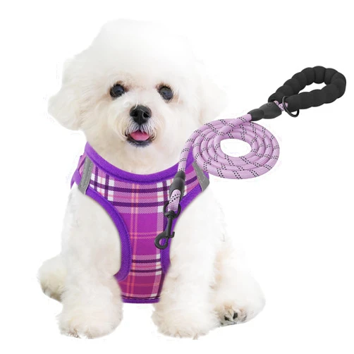 MoNiBloom No Pull Dog Harness w/Leash Set, Reflective Soft Puppy Padded Vest for Walking, Training, Easy to Put on Small Dogs - Purple, XS