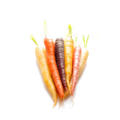 Fresh Nation Rainbow Carrots, Locally Grown, 2 Bunches