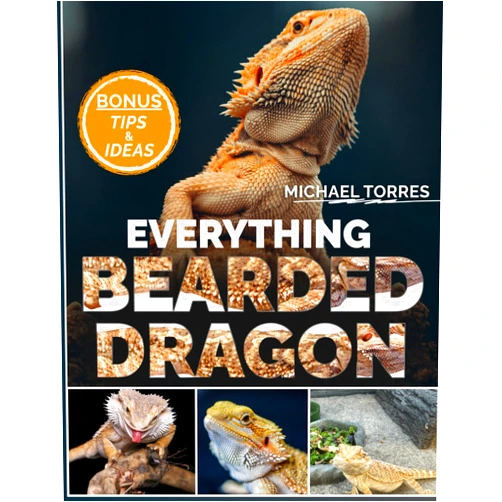MICHAEL TORRES EVERYTHING BEARDED DRAGON