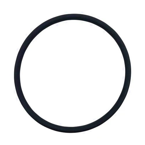 Puri Tech Pentair R172009 Cap O-Ring Replacement Pool and Spa Filter and Feeder